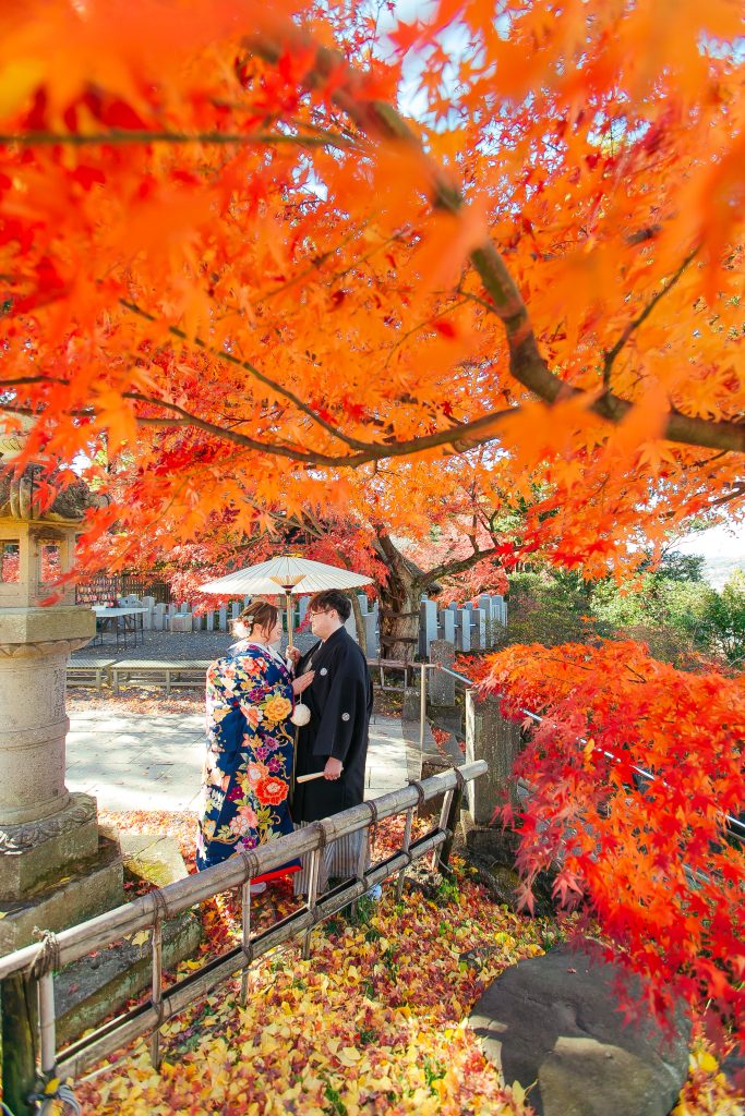 2025年紅葉前撮り