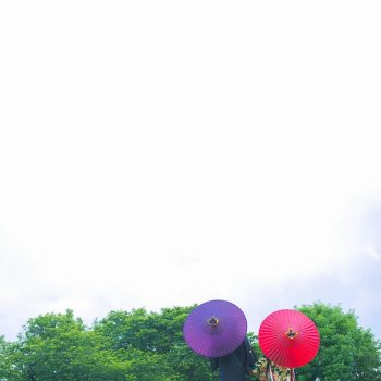 3_DSC_2547